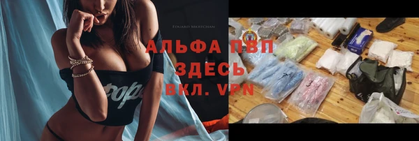 твердый Балахна