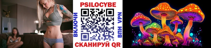 дарнет шоп  Покровск  Галлюциногенные грибы Psilocybine cubensis 